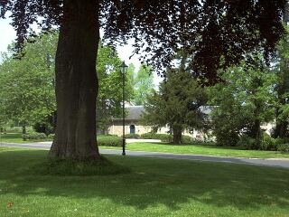 Stable block through the trees.